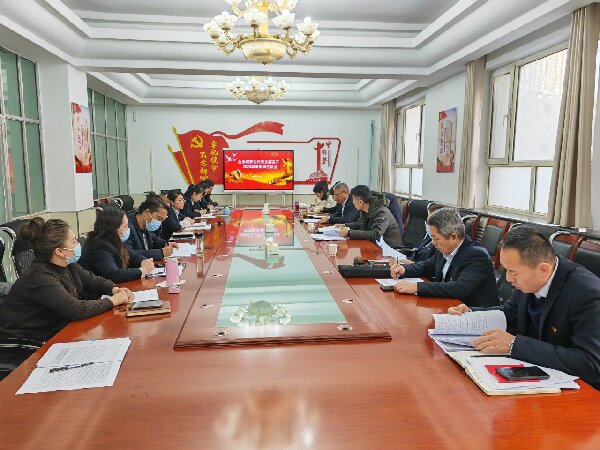 阿克苏金盾保安服务有限责任公司党支部召开学习贯彻习近平新时代中国特色社会主义思想主题教育专题组织生活会