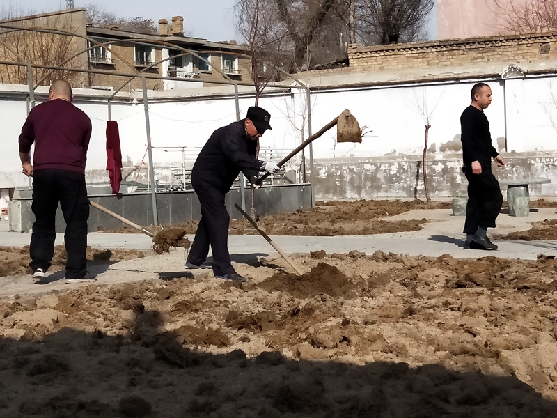 伊犁宁远保安武装守护押运有限公司伊宁市分公司种好“田园化”菜地