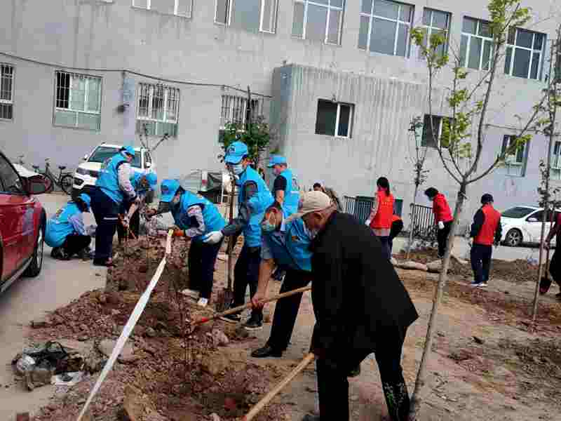 新疆黄金盾保安服务有限公司开展 “全域增绿 全民参与 美丽家园 共建共享” 志愿植树活动