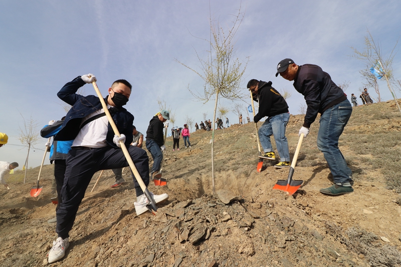 新疆天盾安防股份有限公司积极开展2019年春季义务植树活动