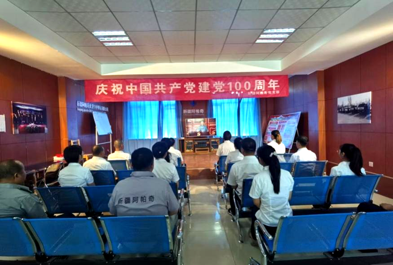 新疆阿帕奇武装守护押运有限公司党支部组织开展庆祝中国共产党成立100周年活动