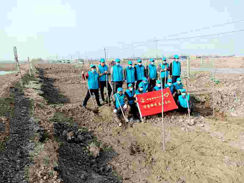 新疆黄金盾保安服务有限公司开展志愿者植树活动